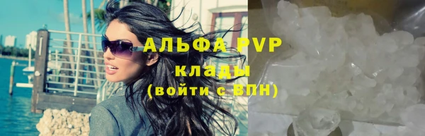 прущие крисы Новодвинск