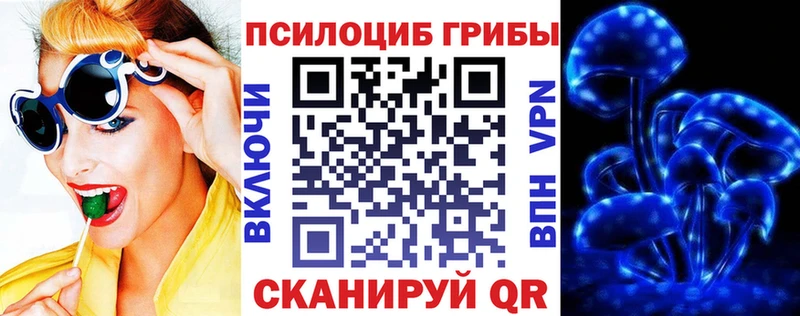 Псилоцибиновые грибы Psilocybe  Купить где  Тюкалинск 